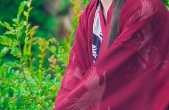 短裤不止是穿在身上，Kettoe的美图图包自带流动感，果然看得我想多看几眼。