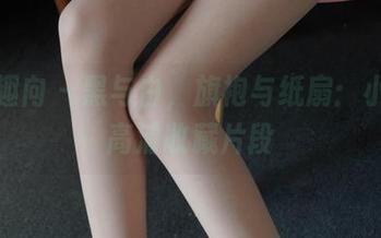 异思趣向 – 黑与白，旗袍与纸扇：小宝的高清收藏片段