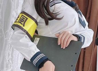 杏子夫人跟魅魔2.0的花样，方案全在网盘合集！