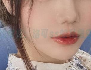 飞行中的惊喜：洛可ss的私房空姐美图